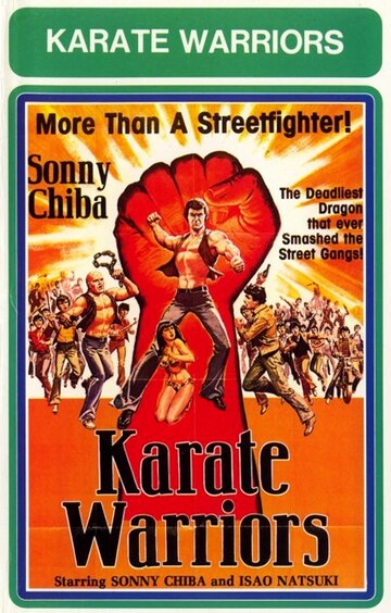 Смотреть Воины карате онлайн в HD качестве 720p