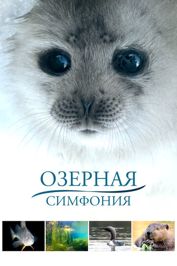 Смотреть Сказка озера онлайн в HD качестве 720p