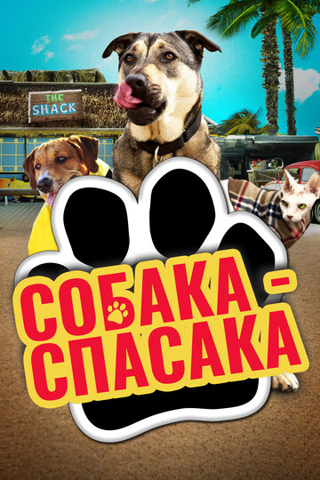 Смотреть Собаки спешат на помощь онлайн в HD качестве 720p