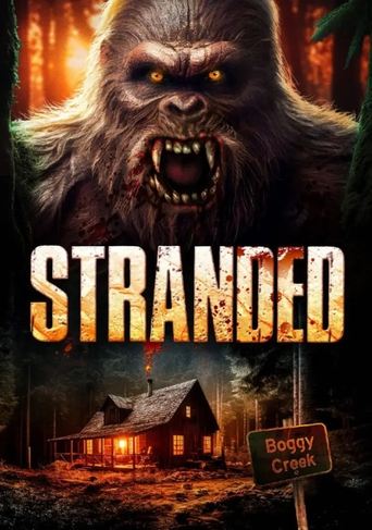 Смотреть В западне онлайн в HD качестве 720p