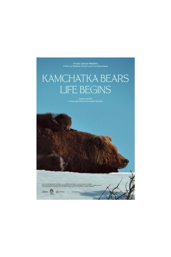 Смотреть Медведи Камчатки. Начало жизни онлайн в HD качестве 720p