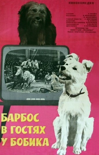 Смотреть Барбос в гостях у Бобика онлайн в HD качестве 720p