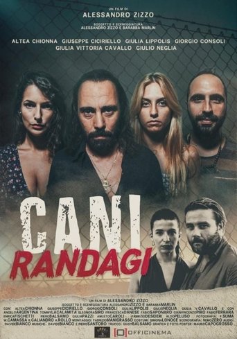 Смотреть Бродячие псы онлайн в HD качестве 720p