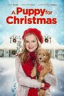 Смотреть Щенок на Рождество на HDrezka онлайн в HD качестве 720p