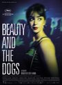 Смотреть Красавица и псы на хдрезка онлайн в HD качестве 720p