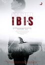 Смотреть Хохлатый ибис онлайн в HD качестве 720p