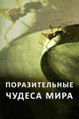Смотреть Поразительные чудеса мира на хдрезка онлайн в HD качестве 720p