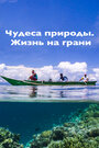 Смотреть Чудеса природы. Жизнь на грани на хдрезка онлайн в HD качестве 720p
