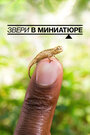 Смотреть Звери в миниатюре на HDrezka онлайн в HD качестве 720p