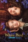 Смотреть Белая птица: Новое чудо на хдрезка онлайн в HD качестве 720p