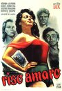 Смотреть Горький рис на HDrezka онлайн в HD качестве 720p