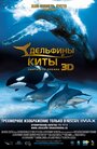 Смотреть Дельфины и киты 3D на хдрезка онлайн в HD качестве 720p