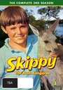 Смотреть Скиппи на хдрезка онлайн в HD качестве 720p