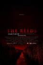 Смотреть Тростник на хдрезка онлайн в HD качестве 720p