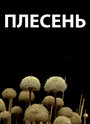 Смотреть Плесень онлайн в HD качестве 