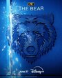 Смотреть Медведь онлайн в HD качестве 720p