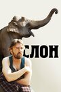 Смотреть Слон на хдрезка онлайн в HD качестве 720p