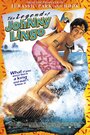 Смотреть Легенда о Джонни Линго онлайн в HD качестве 720p
