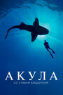 Смотреть Акула со Стивом Бакшоллом онлайн в HD качестве 720p