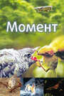 Смотреть Момент на хдрезка онлайн в HD качестве 720p