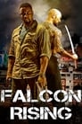 Смотреть Восхождение Сокола на хдрезка онлайн в HD качестве 720p