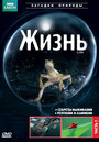 Смотреть BBC: Жизнь на хдрезка онлайн в HD качестве 720p