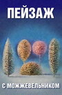 Смотреть Школа изящных искусств. Пейзаж с можжевельником на хдрезка онлайн в HD качестве 720p