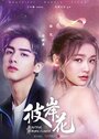 Смотреть Прекрасный переродившийся цветок онлайн в HD качестве 720p