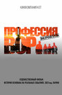 Смотреть Профессия вор на хдрезка онлайн в HD качестве 720p