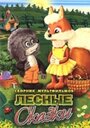 Смотреть Почему заяц прячется на хдрезка онлайн в HD качестве 720p