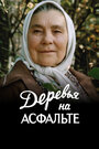 Смотреть Деревья на асфальте на HDrezka онлайн в HD качестве 720p