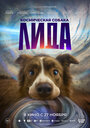 Смотреть Космическая собака Лида онлайн в HD качестве 720p