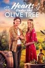 Смотреть Любовь в оливковой роще на HDrezka онлайн в HD качестве 720p