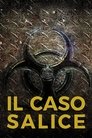 Смотреть Дело Саличе на хдрезка онлайн в HD качестве 720p