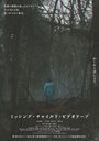 Смотреть Видеозапись исчезновения ребёнка на HDrezka онлайн в HD качестве 720p