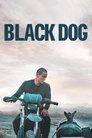 Смотреть Чёрный пёс на хдрезка онлайн в HD качестве 720p