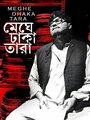 Смотреть Звезда, окутанная облаками на хдрезка онлайн в HD качестве 720p