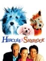 Смотреть Эркюль и Шерлок против мафии на HDrezka онлайн в HD качестве 720p