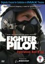Смотреть Боевые пилоты: Операция «Красный флаг» на HDrezka онлайн в HD качестве 720p