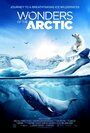 Смотреть Чудеса Арктики на HDrezka онлайн в HD качестве 720p
