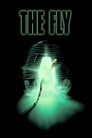 Смотреть Муха на хдрезка онлайн в HD качестве 720p