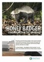 Смотреть National Geographic. Жизнь одного медоеда онлайн в HD качестве 