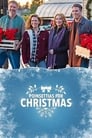 Смотреть Пуансеттия – рождественская звезда на HDrezka онлайн в HD качестве 720p