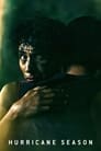 Смотреть Время ураганов на хдрезка онлайн в HD качестве 720p