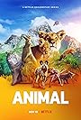 Смотреть Удивительные животные на хдрезка онлайн в HD качестве 720p