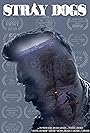 Смотреть Бродячие псы на хдрезка онлайн в HD качестве 720p