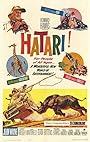 Смотреть Хатари! онлайн в HD качестве 720p