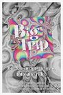 Смотреть Большой трип онлайн в HD качестве 720p