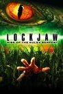 Смотреть Месть Вуду: Змеиное жало 2008 на хдрезка онлайн в HD качестве 720p