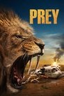 Смотреть Выжить в Калахари на хдрезка онлайн в HD качестве 720p